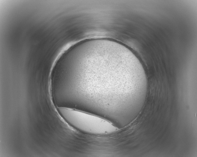 X0000064751472200602241817