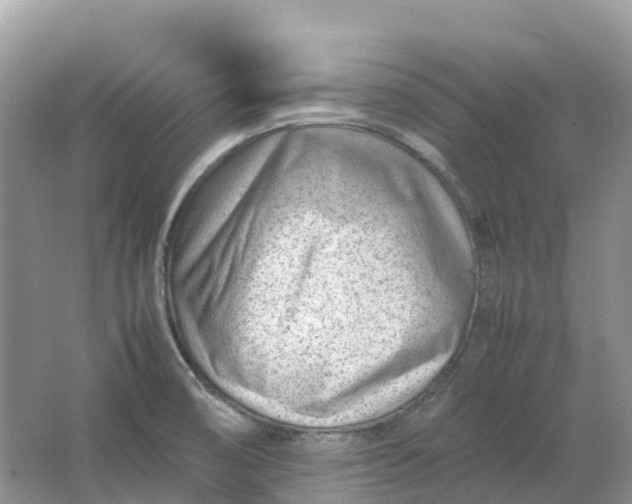 X0000064751474200602241817