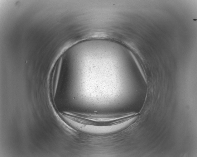 X0000064751475200602241817