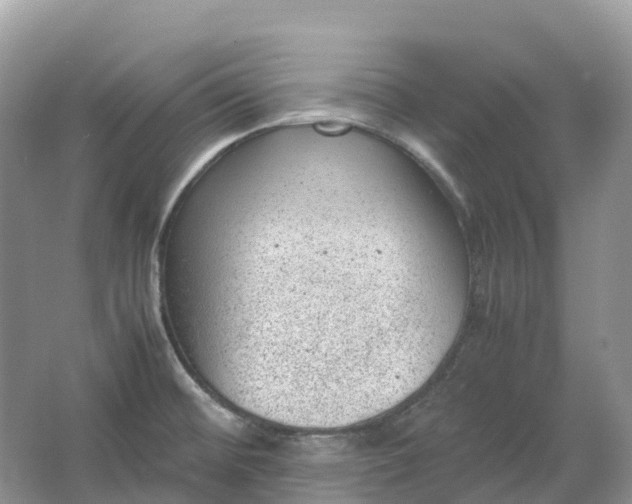 X0000064751476200602241817