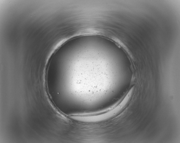 X0000064751477200602241817