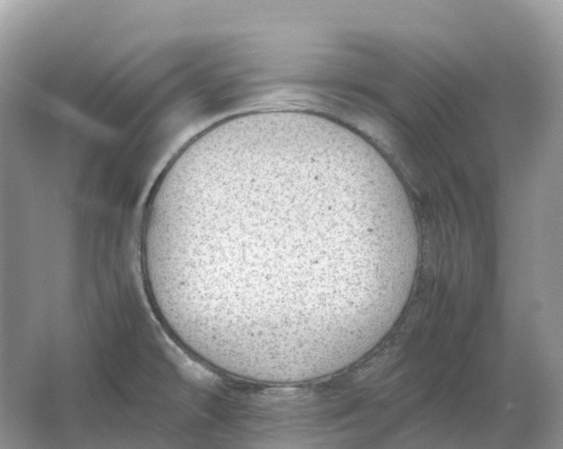 X0000064751478200602241817