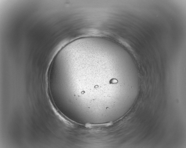 X0000064751479200602241817