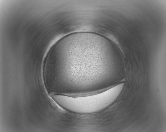 X0000064751480200602241817