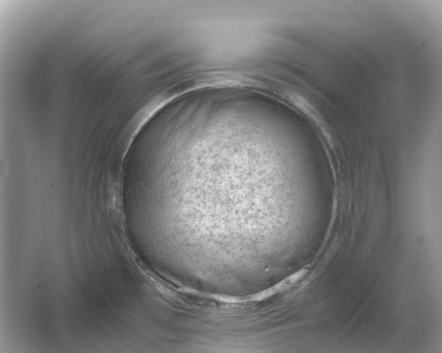 X0000064751481200602241817