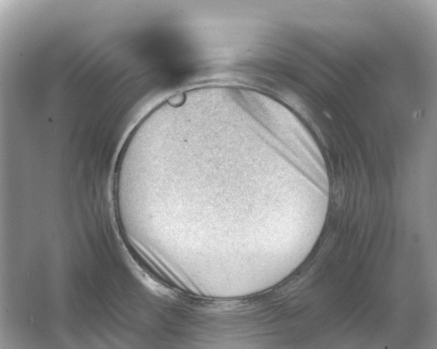 X0000064751482200602241817