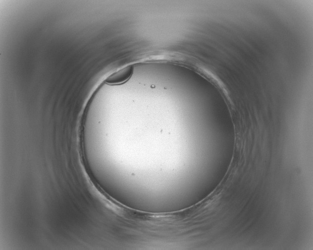 X0000064751483200602241816