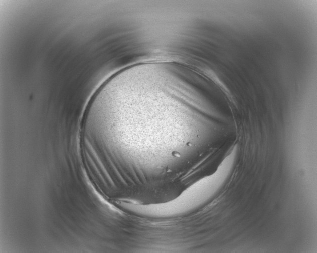 X0000064751484200602241816