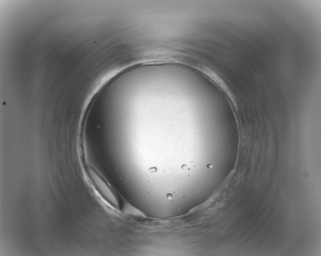 X0000064751485200602241816