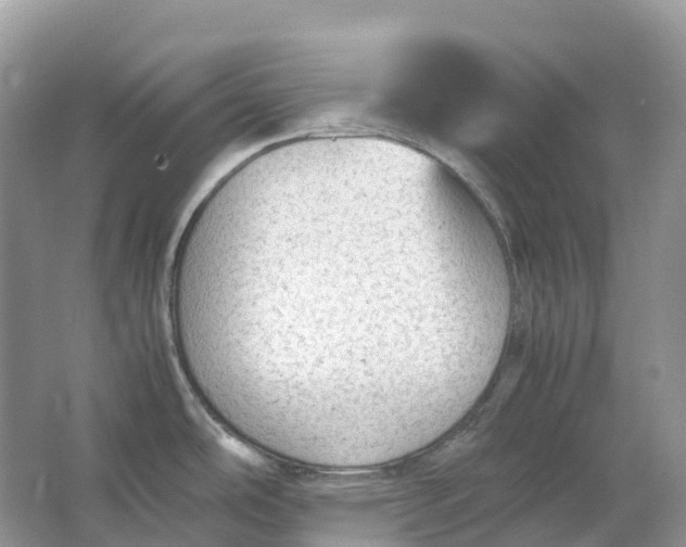 X0000064751486200602241816