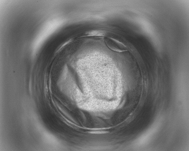 X0000064751487200602241816