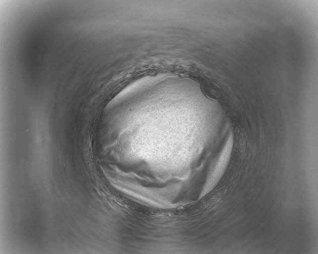 X0000064751489200602241815