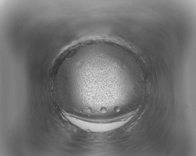 X0000064751494200602241815