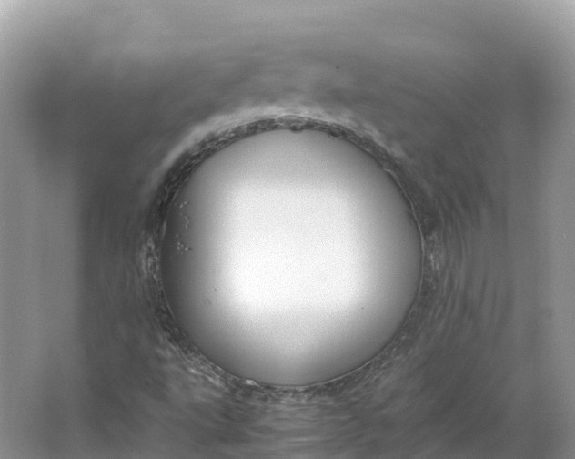 X0000064751495200602241815