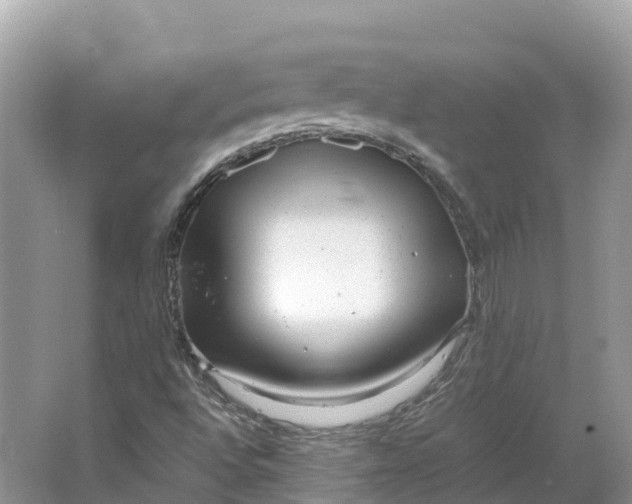 X0000064751496200602241815