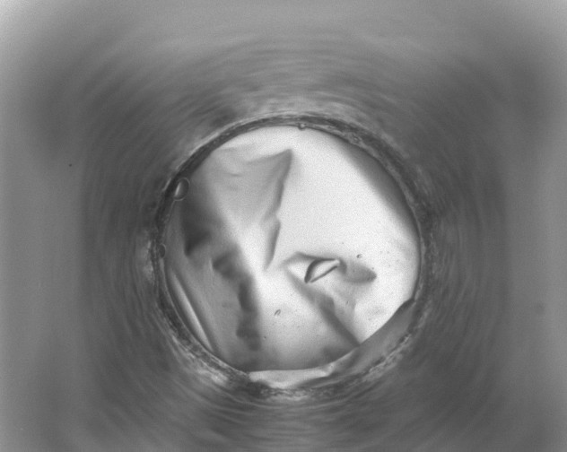 X0000064751497200602241815