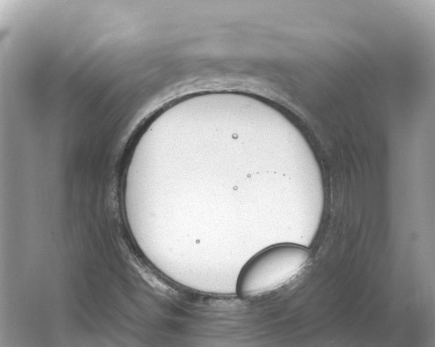 X0000064751498200602241815