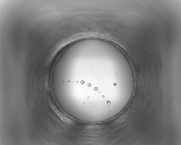 X0000064751499200602241815