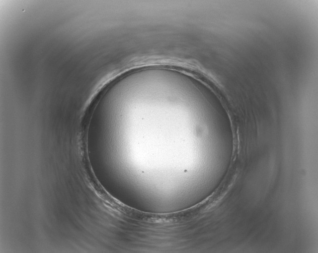 X0000064751501200602241815