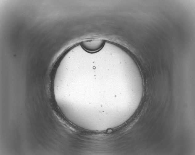 X0000064751502200602241815