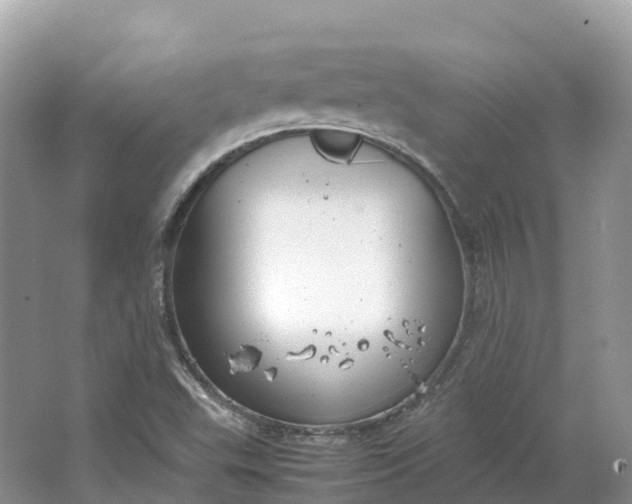 X0000064751503200602241816