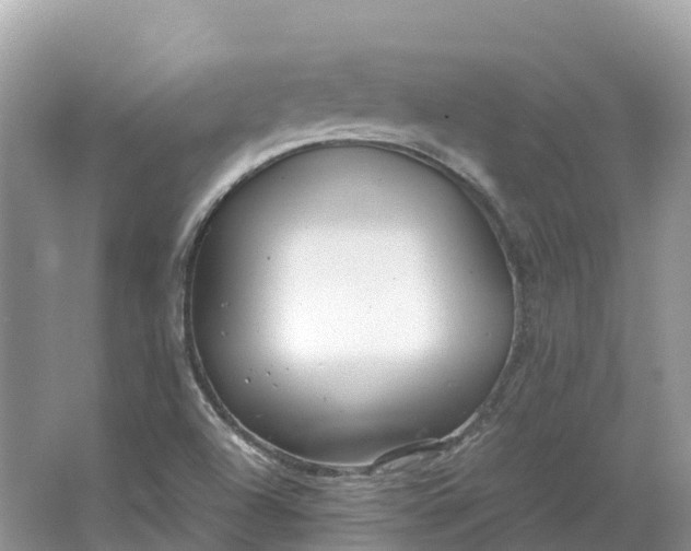 X0000064751504200602241816