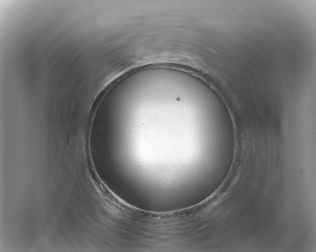 X0000064751505200602241816