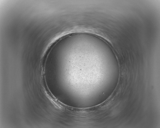 X0000064751507200602241816