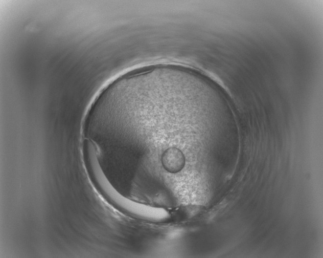 X0000064751508200602241816