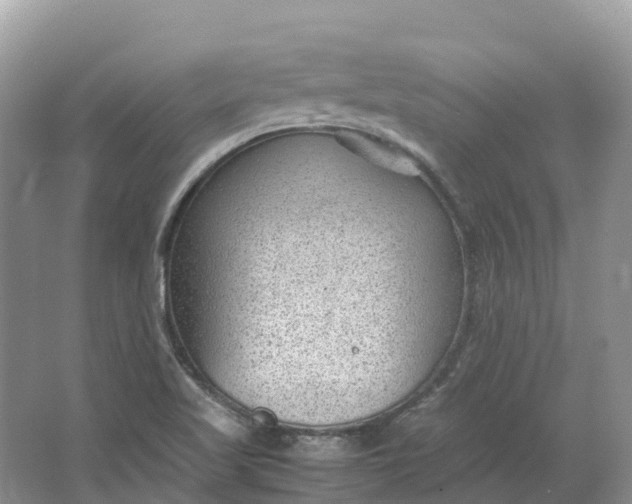 X0000064751509200602241816