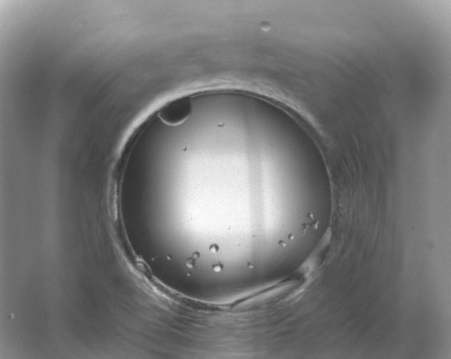 X0000064751510200602241816