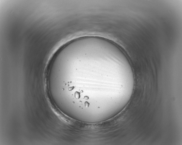 X0000064751511200602241816