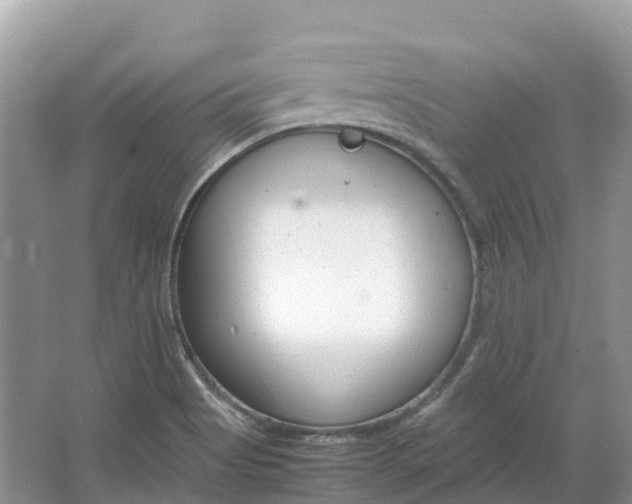 X0000064751513200602241816