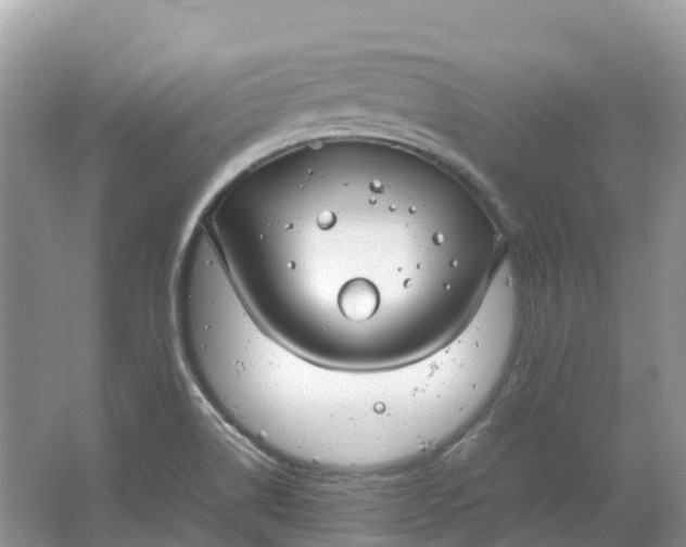 X0000064751514200602241816