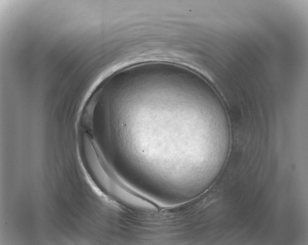 X0000064751515200602241816