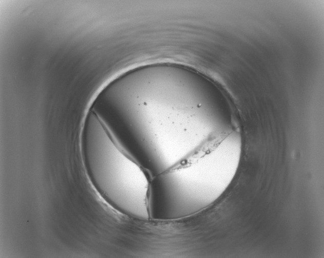 X0000064751516200602241816