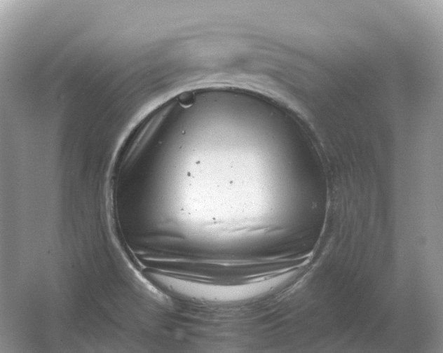 X0000064751517200602241816