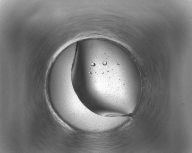 X0000064751518200602241816