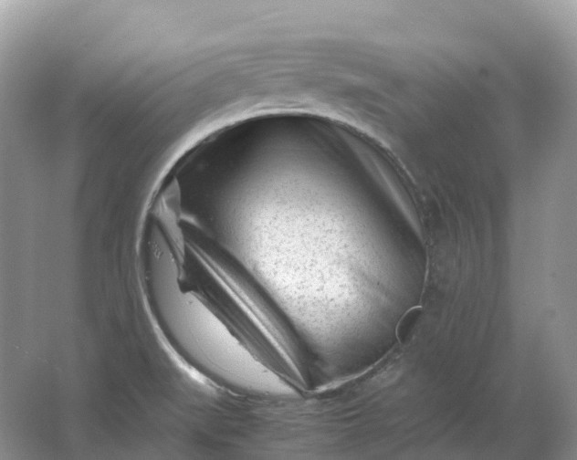 X0000064751519200602241816