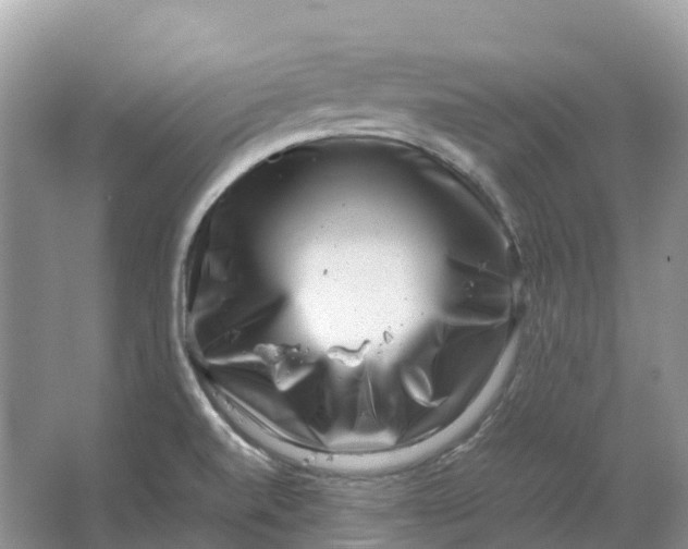 X0000064751520200602241816