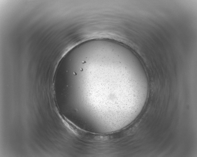 X0000064751521200602241816