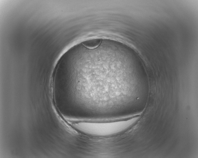 X0000064751522200602241816