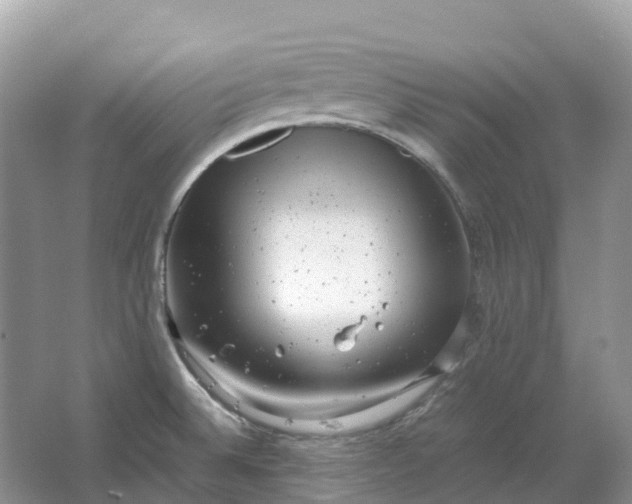 X0000064751524200602241816