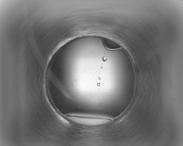 X0000064751525200602241816