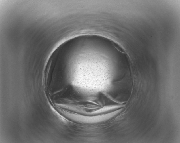 X0000064751527200602241816