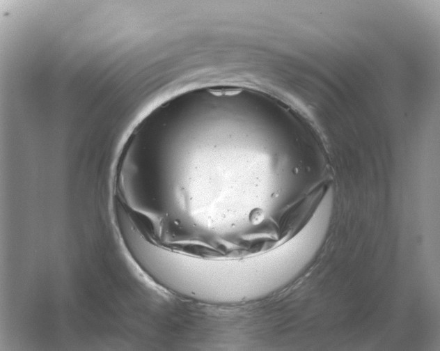 X0000064751528200602241816