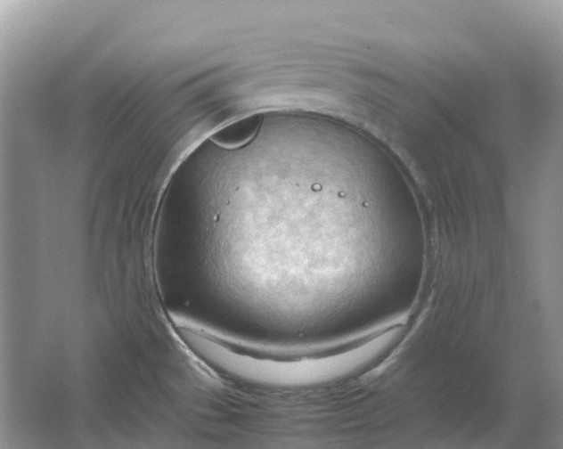 X0000064751529200602241816