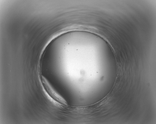 X0000064751531200602241816