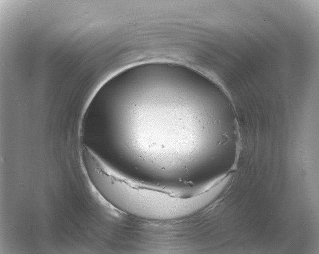 X0000064751532200602241816