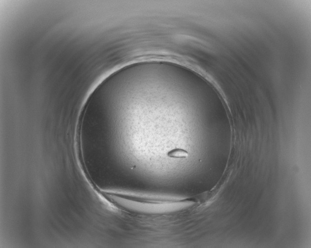 X0000064751533200602241816